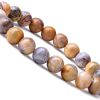 Crazy Lace Agate