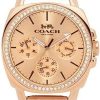 Rose Gold 2