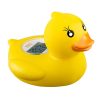 Lady Duck