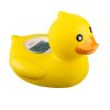 Classic Duck