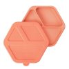 (Coral) Plate with Lid