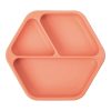 (Coral) Plate