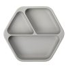 (Grey) Plate