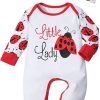 Red Ladybug