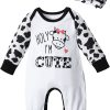 Cow Black and White
