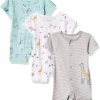 Giraffe/Bear Print