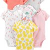 Pink, Flamingo/Lemon Print