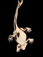 Bearded Dragon Charm Necklace 14k Gold Reptile Jewelry - Image 5