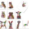 A Funky Rainbow Wildlife