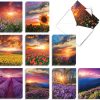 Blooming Sunsets