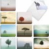 Timeless Trees