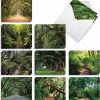 Nature Trails