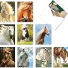 Magnificent Manes