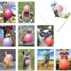 Balloon Animals