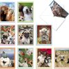 Animal Selfies