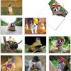 Capped Creatures